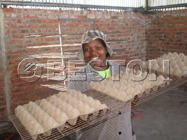 egg-tray-making-machine-in-Africa