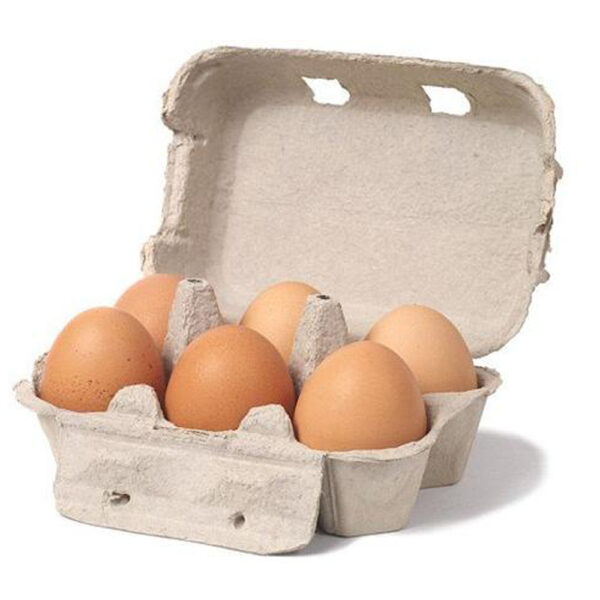 6 Holes Egg Cartons