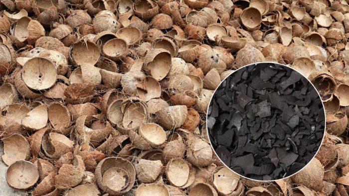 Coconut-Shell-and-Coconut-Shell-Charcoal
